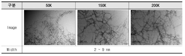 셀룰로오스 나노섬유의 직경 관찰(Bio-TEM 측정)
