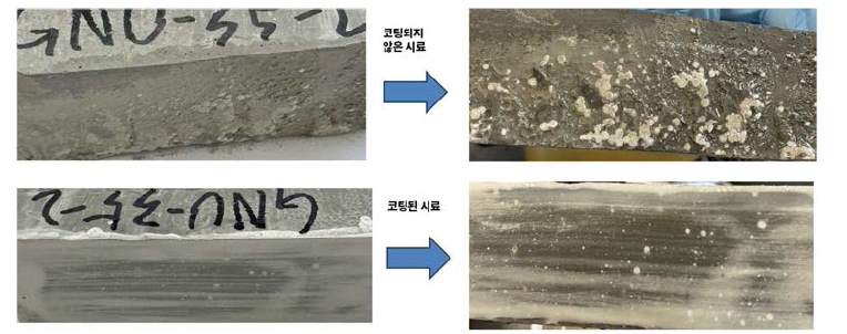 일주일 배양 후 사진 촬영 시험 결과