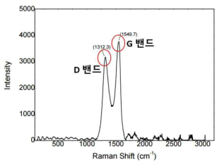 Raman Spectroscopy 결과