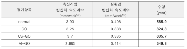 탄산화 내구성 평가 결과