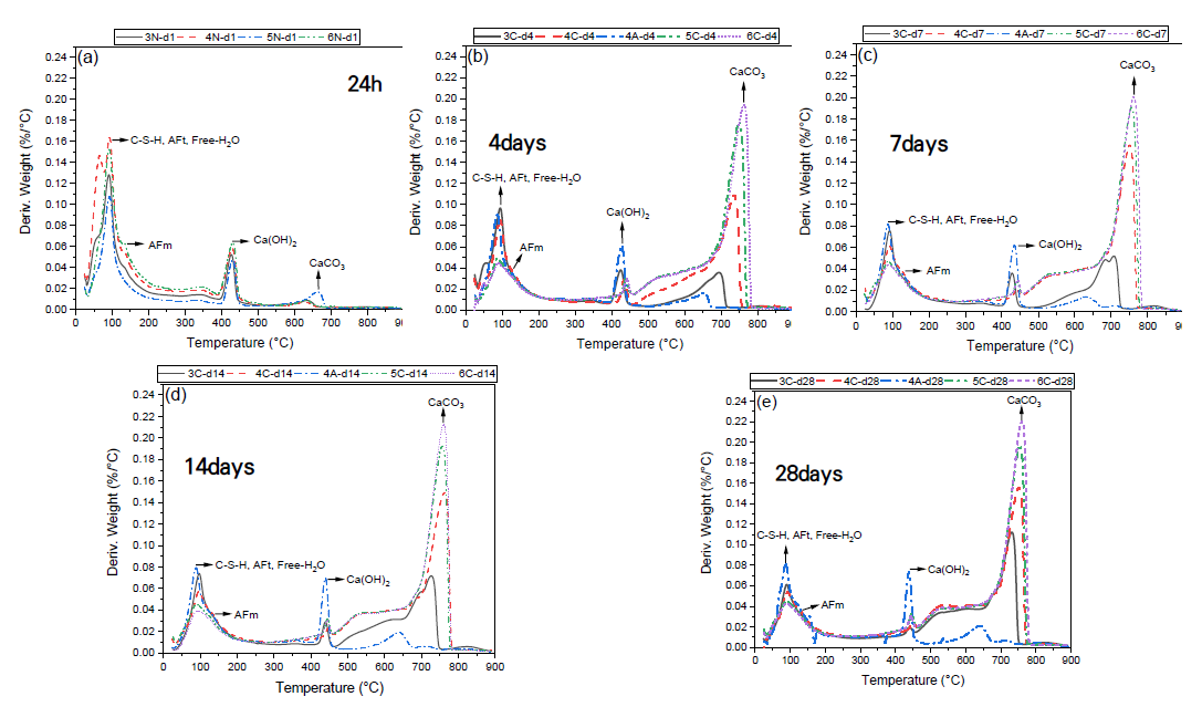 재령 1일, 4일, 7일, 14일, 28일의 DTG curves