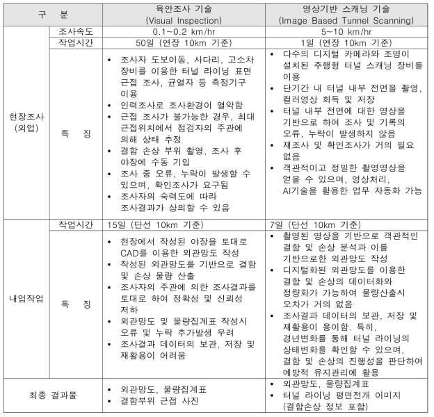 육안조사 기법과 영상기반 스캐닝 기술의 기술적 특징 비교