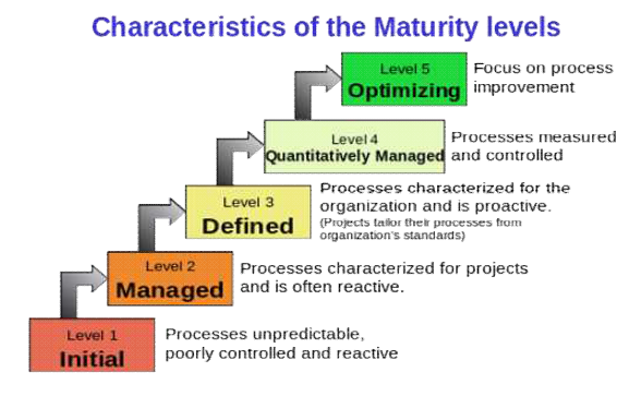 Basic stage of maturity model