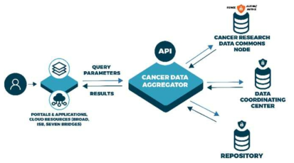 Structure of Cancer Data Aggregator