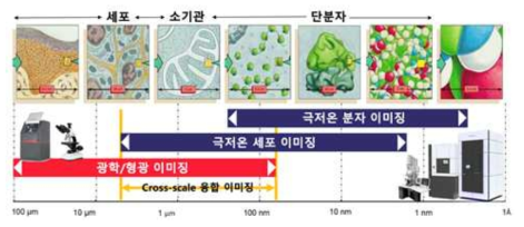 전자현미경에 따른 연구주제 분류
