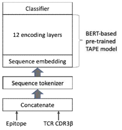 The proposed model architecture