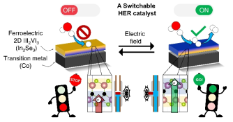 Schematic design 2D new material-based switching catalyst