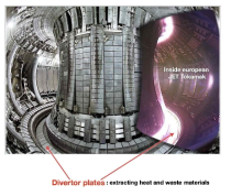 Fusion reactor and divertors