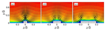 Turbulent flows near roughness