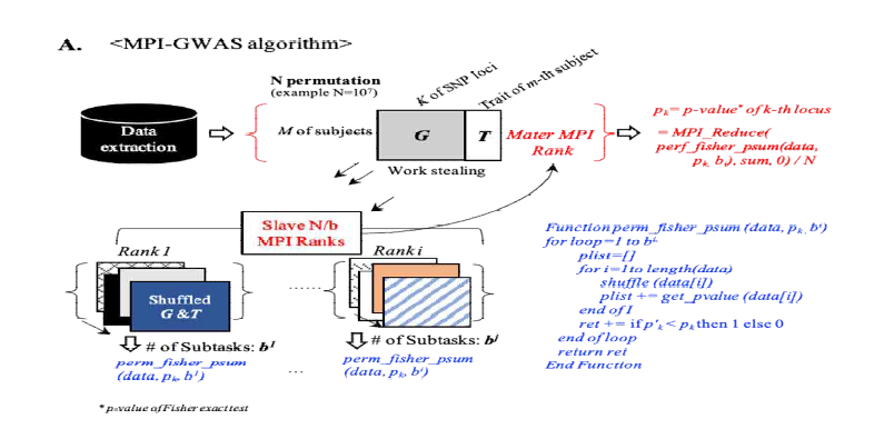 MPI-based GWAS Data Random Permutation Validation and Optimization