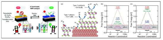 (Left) A schematic diagram of a switching catalyst design of a new composite structure based on a laminated material (Right) A principle of expression of switching catalyst properties and corresponding free energy diagram