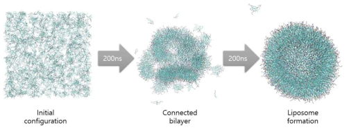 Formation process of lipid nanoparticles according to time