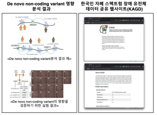 Effect of de novo non-coding variant and KAGD homepage