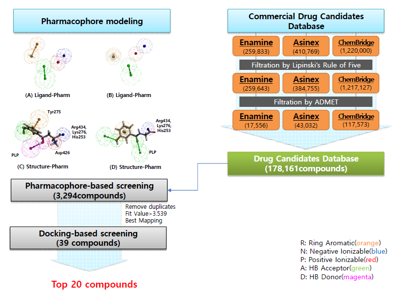 Data-based drug design screening workflow for KYNU inhibitor