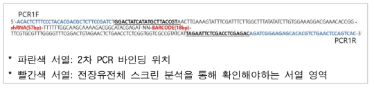 1st PCR template sequence of the experimental data