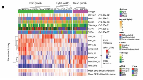 Alternative splicing-based patient classification in gastric cancer patients