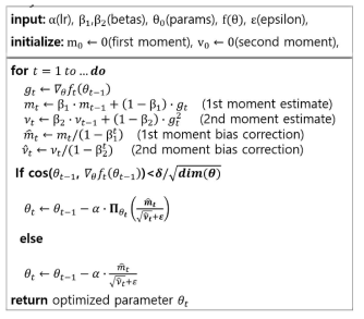 AdamP optimizer 알고리즘