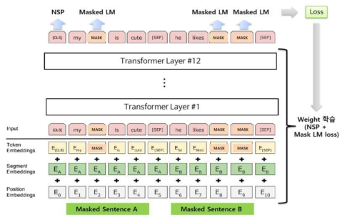 BERT Pre-training 모델의 입력/출력 구조