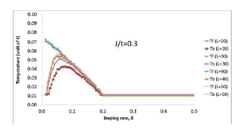 The predicted U(1) phase diagrams for 5 different lattice sizes, i.e., 10ⅹ10, 20ⅹ20, 30ⅹ30, 40ⅹ40, 50ⅹ50 lattice with the Heisenberg coupling constant, J/t = 0.3