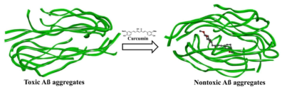 아밀로이드 응집 억제제 유무에 따른 아밀로이드 구조 모식도