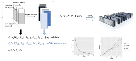 MPI 기반 계산 최적화를 통한 종적형질의 전장유전체연관분석 모식도