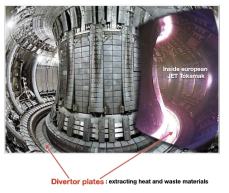 Fusion reactor and divertors