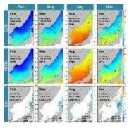 Ocean currents in East Sea