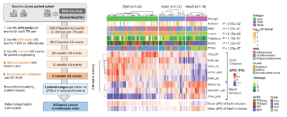 Alternative splicing-based patient classification in gastric cancer patients