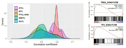 Transcriptome analysis of CD4+ T cells from CTLA4-CD28 transgenic mice