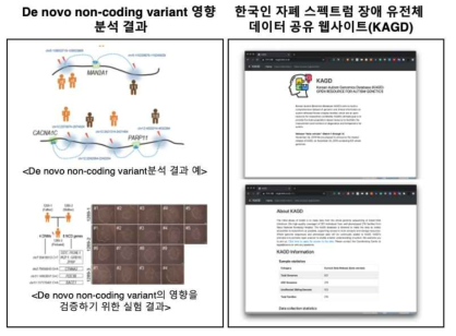 Effect of de novo non-coding variant and KAGD homepage