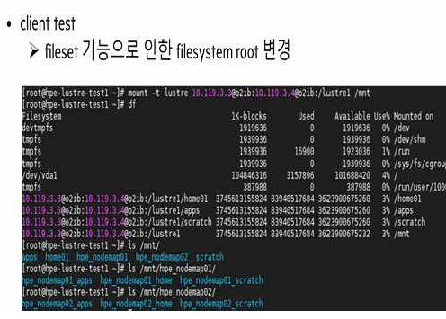 Lustre NodeMap Client Test