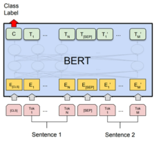 BERT 모델을 활용한 GlossBERT 구조도