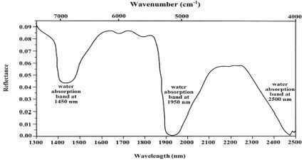 물 분자 반응 스펙트럼 양상(Clevers et al, 2008)