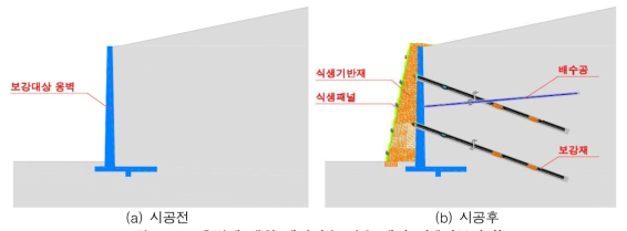 옹벽에 대한 개발기술 적용 개념도(네일보강시)