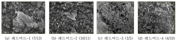 월별 레드머드 샘플의 입형분석(SEM_×3,000배율)