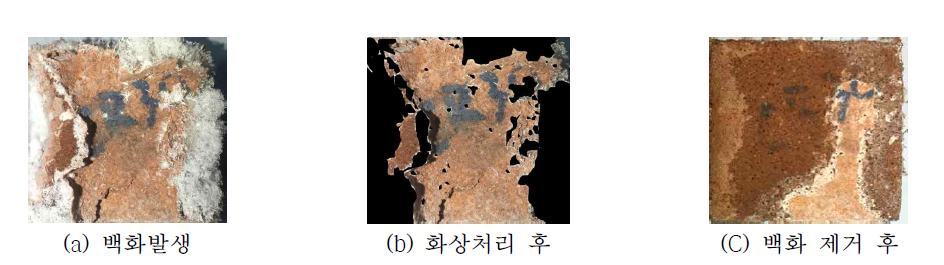 백화발생 평가