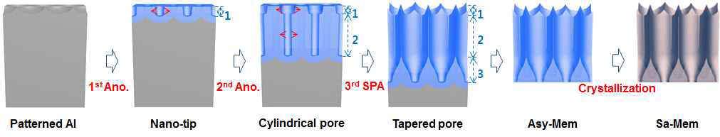 대면적 비대칭 사파이어 멤브레인 제조 공정의 모식도