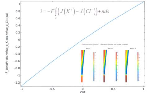 전압-전류 곡선 및 농도분포 변화 시뮬레이션 결과 (model 1)