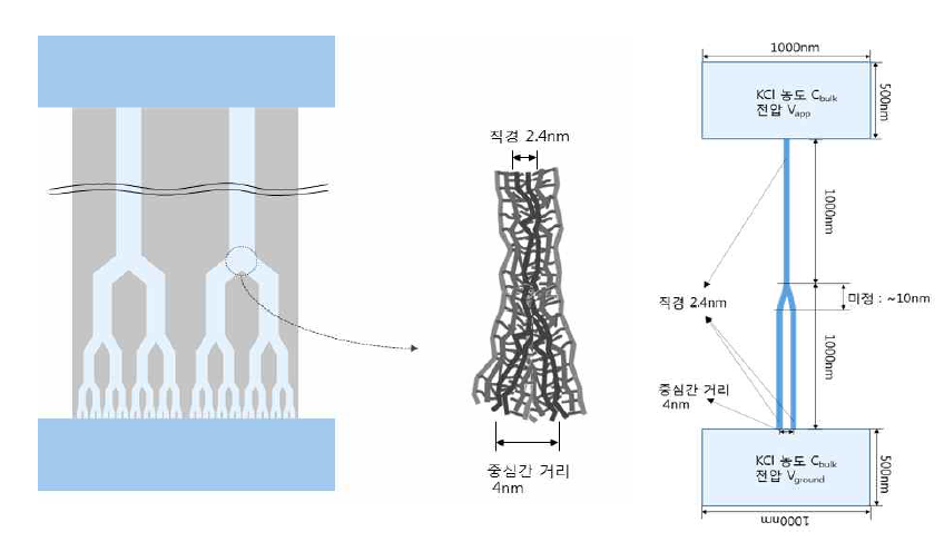 세공충진 나피온의 분기된 이온채널을 갖는 사파이어 멤브레인의 모식도 (model 2)