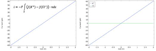 전압-전류 곡선 시뮬레이션 결과, 전체 이온 전류(좌), 각 이온 종류(K+, Cl-)에 따른 이온 전류(우) (model 2)