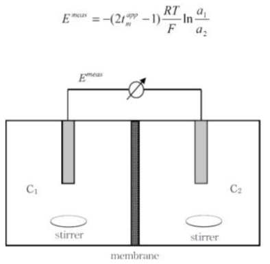 membrane potential 측정용 전기화학 셀의 구성