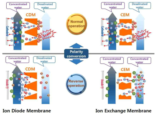 이온정류막과 이온교환막을 적용한 electrodialysis reversal 에서 역전위에서 scale 제거 원리
