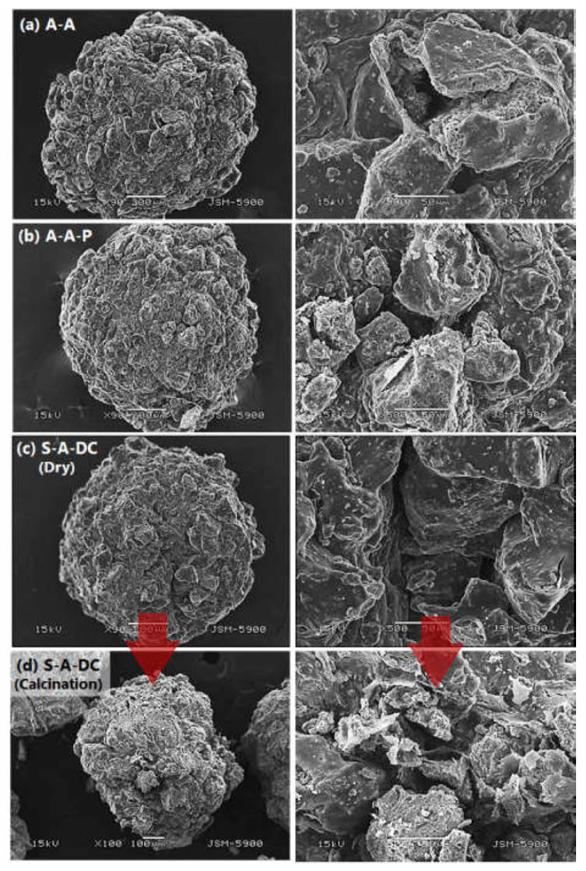 건조 및 소성 흡착제의 SEM 이미지 분석 (a) A-A, (b) A-A-P, (c) S_A_P (Dry), (d) S-A-P (Calcination)