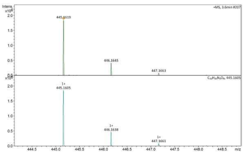 3.6분에 측정된 스펙트럼(위)과 분자량(445)을 토대로 재검색된 스펙트럼(아래) (페레이트 투여량 : 8μM)
