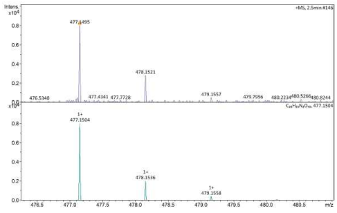 2.5분에 측정된 스펙트럼(위)과 분자량(477)을 토대로 재검색된 스펙트럼(아래) (페레이트 투여량 : 10μM)