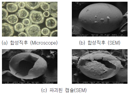 마이크로캡슐 제조를 위한 합성기술