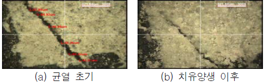 균열면 관찰(치유재령 28일, Plain)