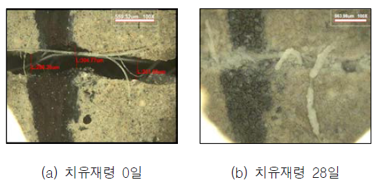 표면 균열(균열폭 0.30 mm)