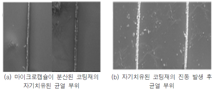 자기치유 코팅재의 균열 부위에 대한 SEM 사진