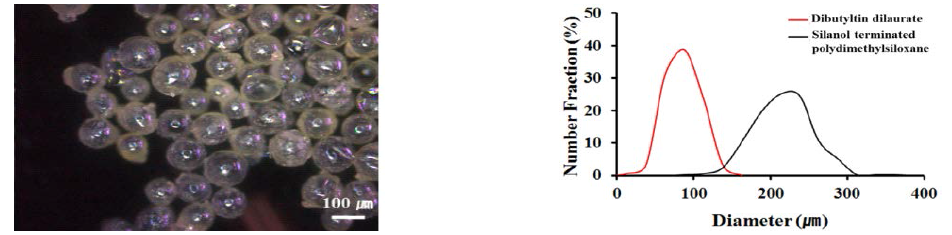 합성된 마이크로캡슐의 외형 및 직경 분포도